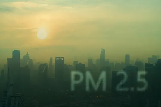 What PM 2.5 pollution looks like covering a City