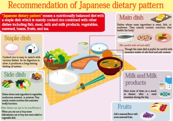 shoku iku diet flavor pairing chart