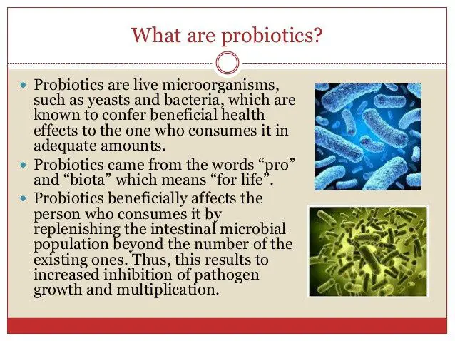 what are probiotics
