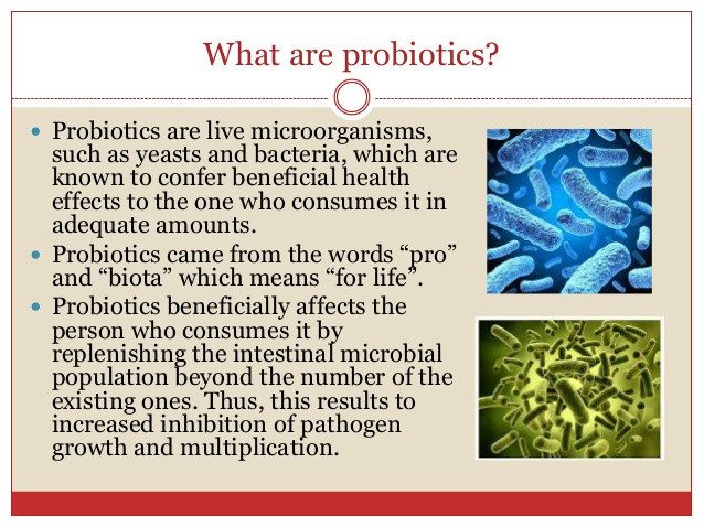 what are probiotics