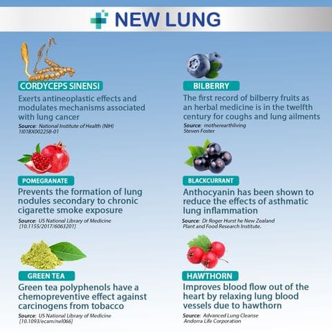 how to detox the lungs