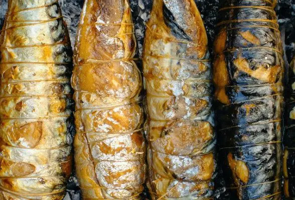 foods that contain omega 6 examples include oily fish such as mackerel