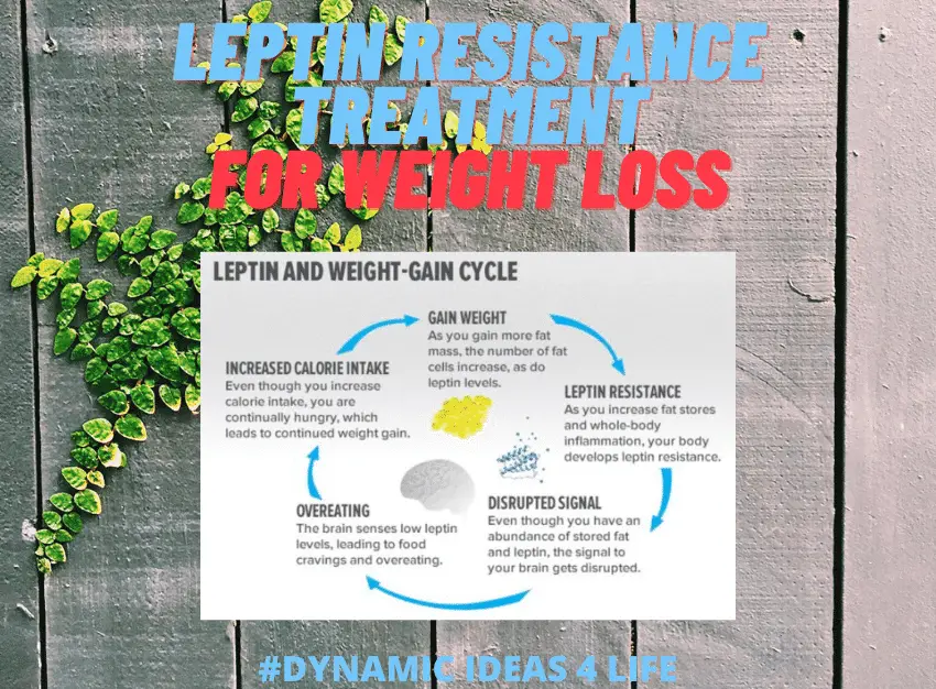 Leptin Resistance Treatment for Weight Loss
