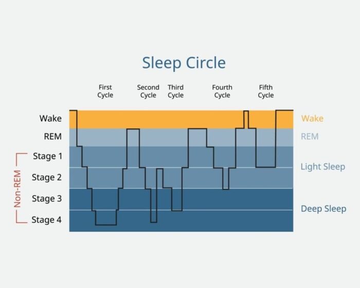 4 stages of sleep