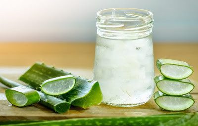 Aloe Vera Juice Benefits for Weight Loss