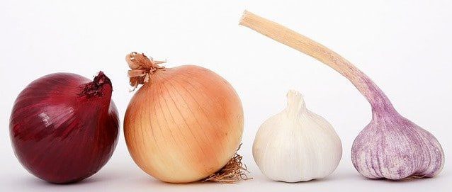 16 Powerful Detox Food Ideas Onion and Garlic