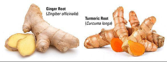 detox foods ginger and turmeric
