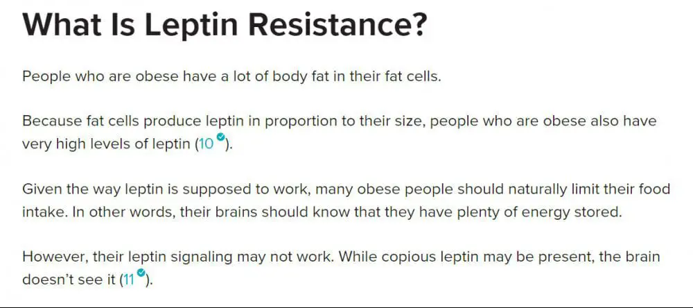 what is leptin resistance