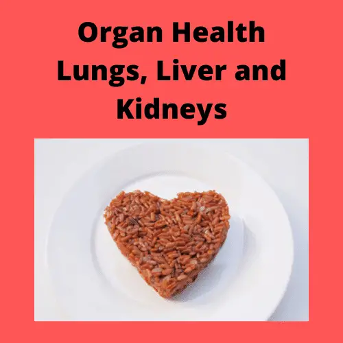Organ Health Lungs Liver and Kidneys