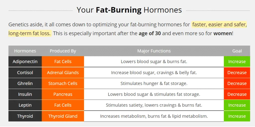 HFL Lean Optimizer Your fat burning hormones