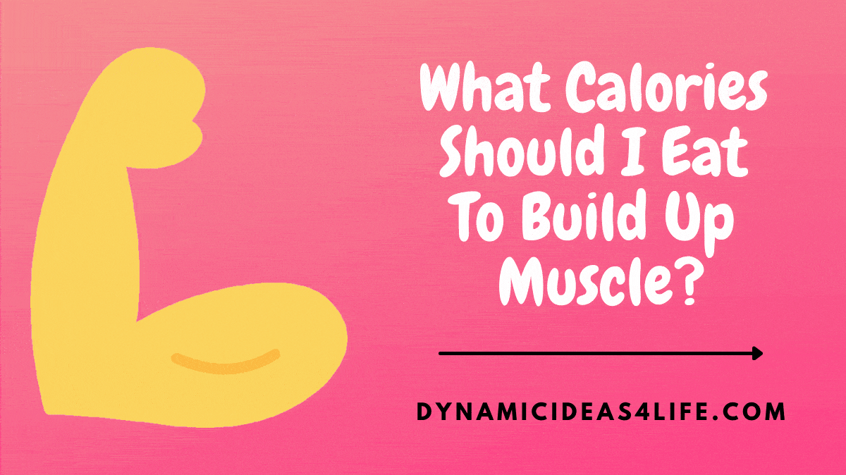 what calories should you eat to gain muscle