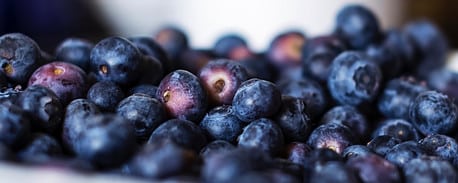 juniper berries benefits for diabetes