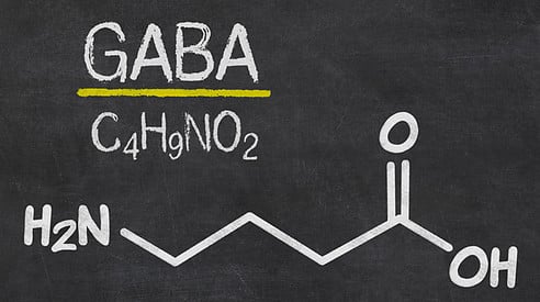 GABA in sleep supplements