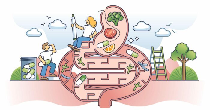 what cognibiotics is not illustration