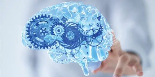 what is BDNF and is this something that cognibiotics can help support