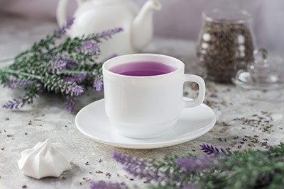 pt trim fat burn purple tea review
