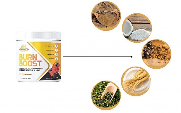 whats inside gold vida burn boost