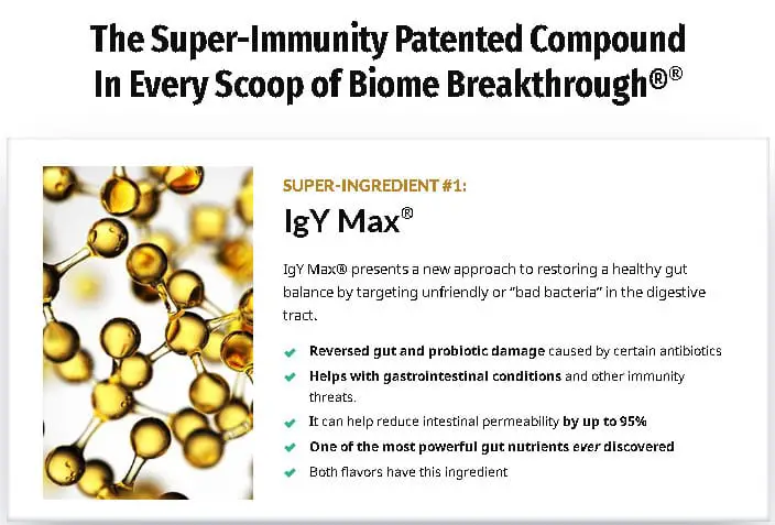 What is IgY Max Immunized Egg Powder