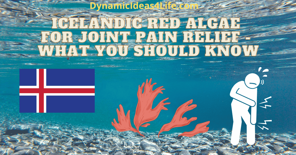 Can Icelandic Red Algae Help relieve joint pain and inflammation