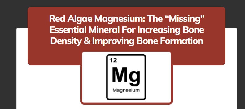 why magnesium is important for bone health