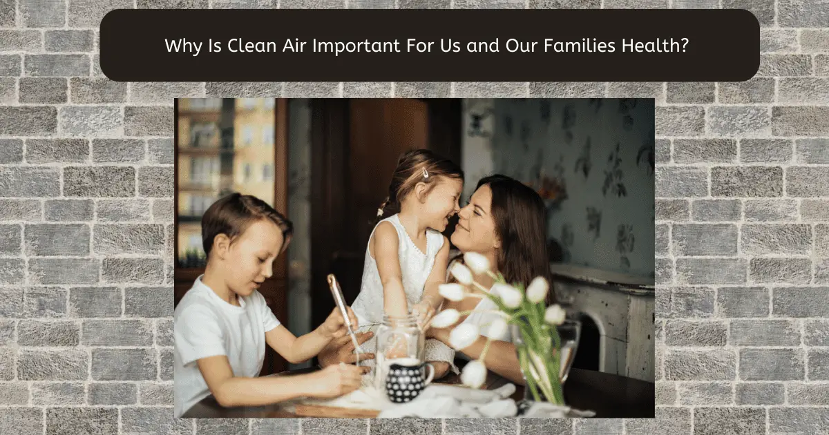 why clean air is important to our families health
