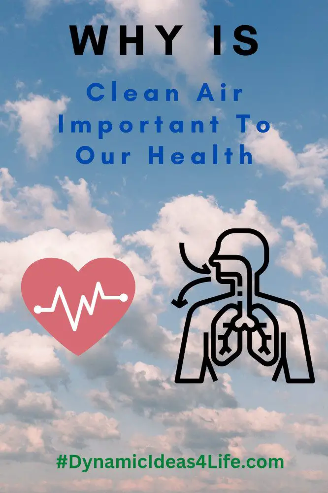 why is clean air important for health