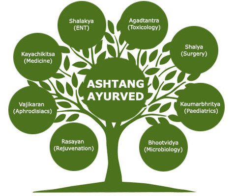 8 branches of ayurveda