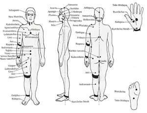 marma energy points in ayurveda