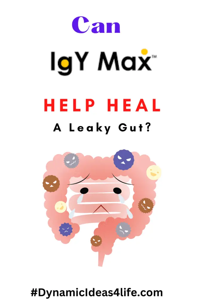 Can IGy Max Help Heal a Leaky Gut