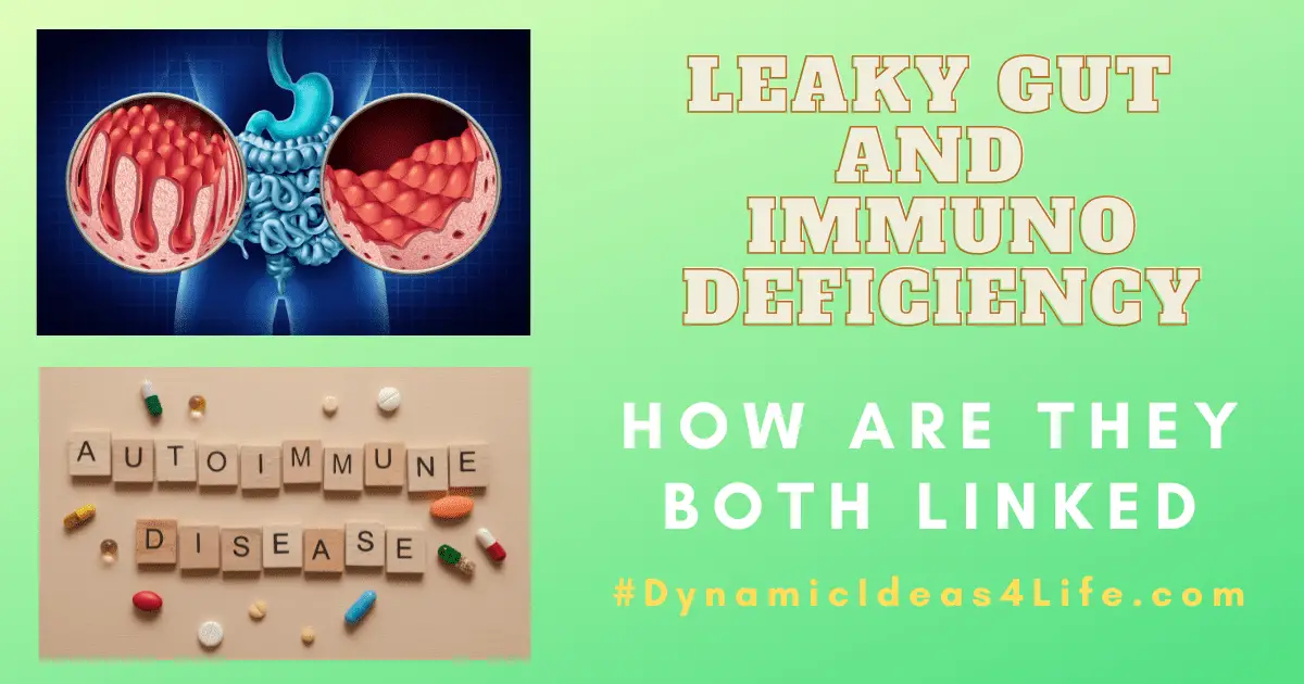 Leaky Gut and autoimmune disease, immunodeficiency how are they both linked?