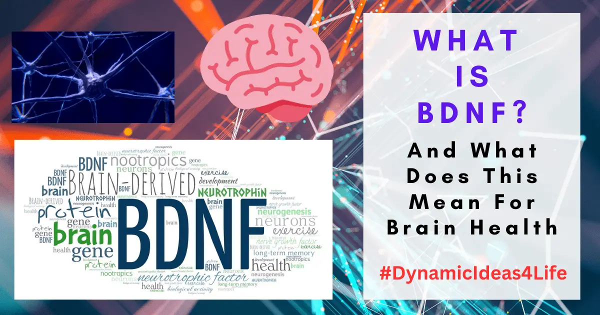 What is BDNF and how does it affect Brain Health