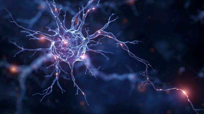 “Neuron with TrkB receptor - what is this”