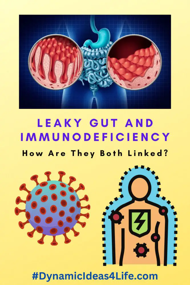 leaky gut and immunodeficiency how are they both linked