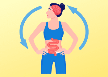 the gut brain connection