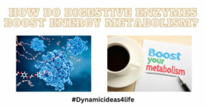 how do digestive enzymes boost energy metabolism