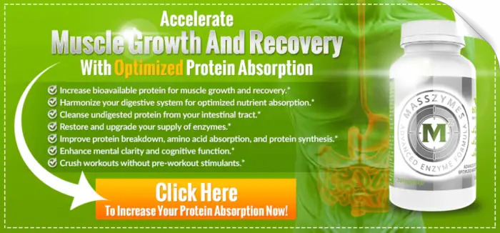 MassZymes increase protein absorption