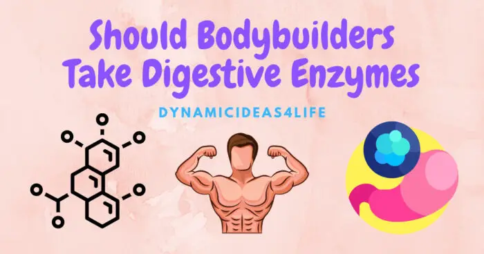 Should Bodybuilders Take Digestive Enzymes