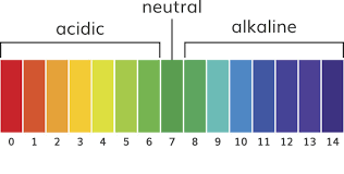 acid alkaline ph scale