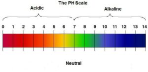 pH levels of stomach acid chart