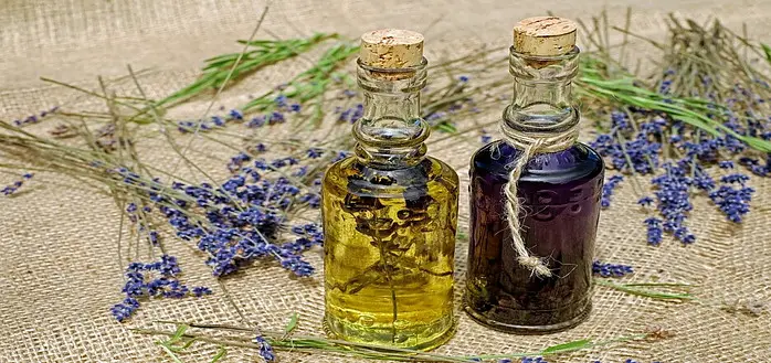 the how to guide to aromatherapy