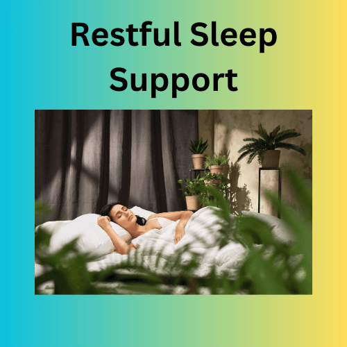 Restful Sleep Support category page