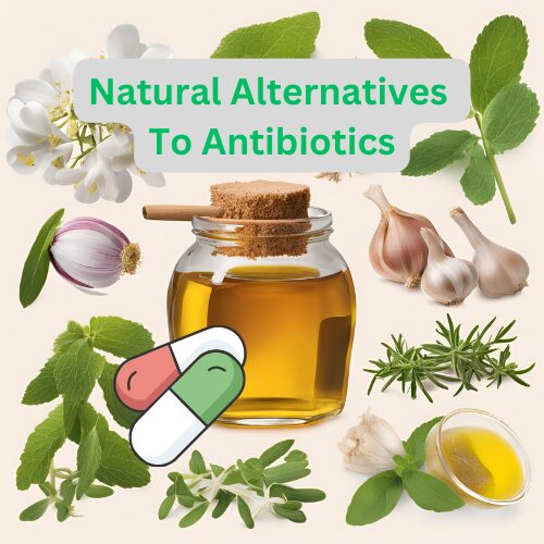 Natural Alternatives To Antibiotics