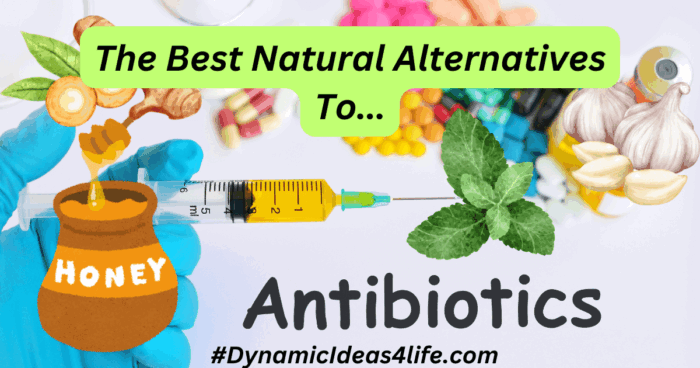 The Best Natural Alternatives To Antibiotics