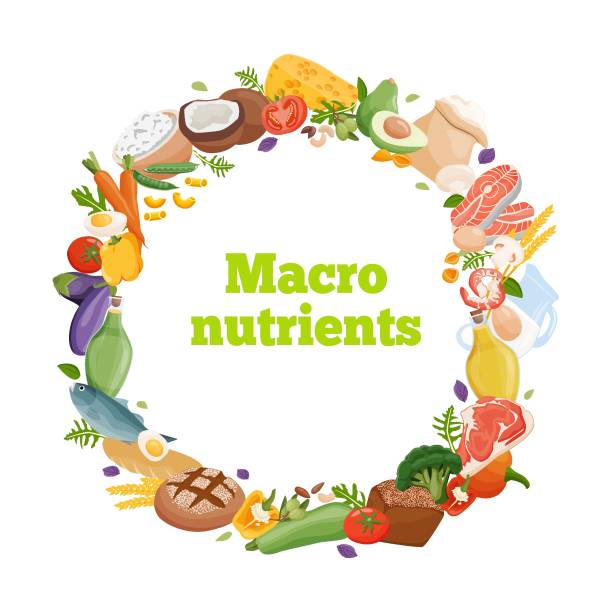 Macronutrients Graphic