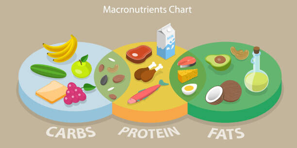 macronutrients chart fat, protein and carbs