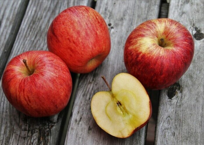 Healthy balanced meal for supporting weight loss with regular gym workouts