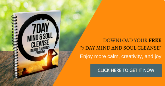 Download your free 7 day mind and soul cleanse - click here to get it now