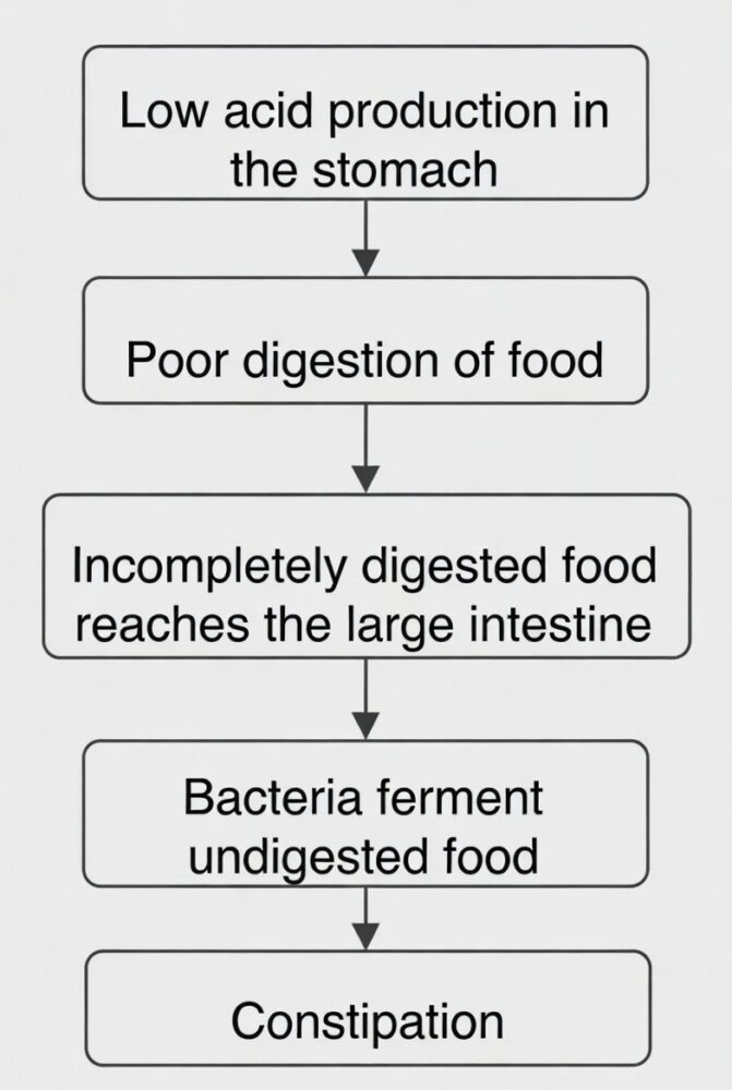 Visual showing how low stomach acid can contribute to constipation