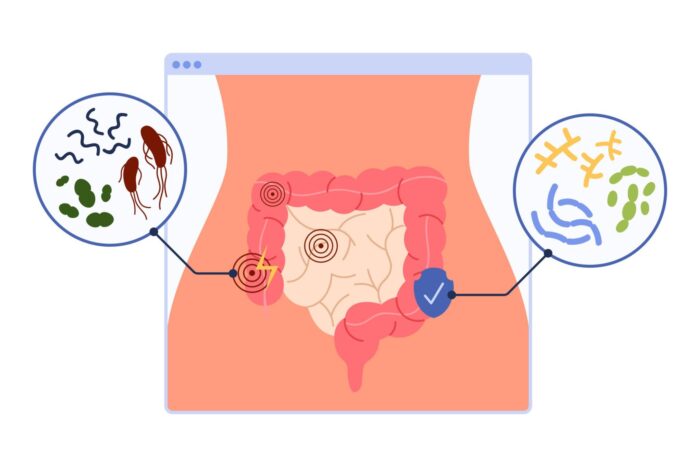 how travel affects gut bacteria microbiome disruption