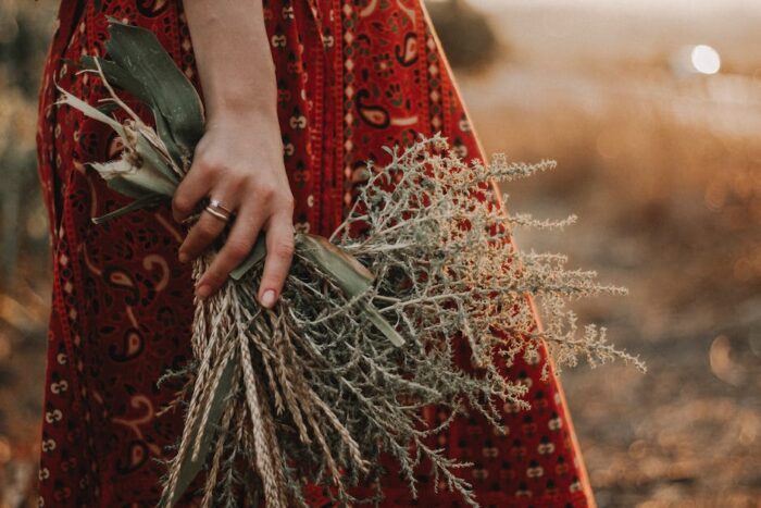 An image depicting a person holding a handful of herbs, symbolizing the use of natural remedies for IBD.